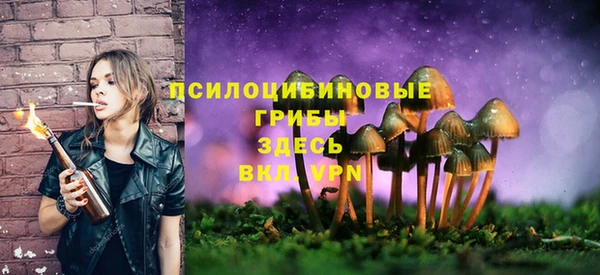 спайс Нефтекумск