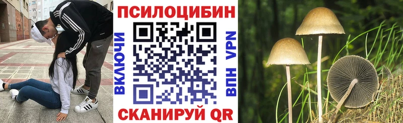 Галлюциногенные грибы MAGIC MUSHROOMS  Елец 
